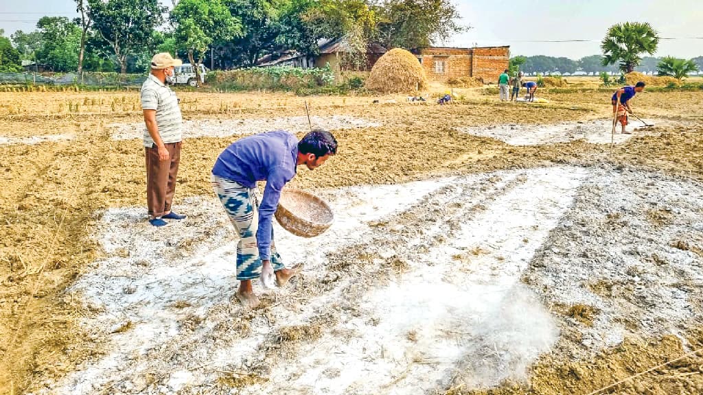 মাটির অম্লতা বেড়েছে, কমেছে ফসলের উৎপাদন