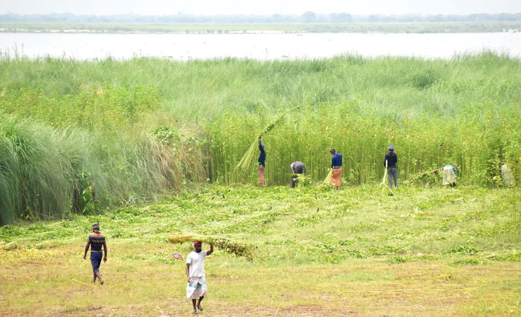 দিনের ছবি (১ আগস্ট, ২০২৩)