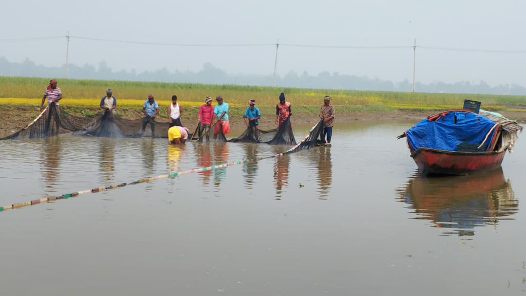 দিনের ছবি (২৫ জানুয়ারি, ২০২৪)