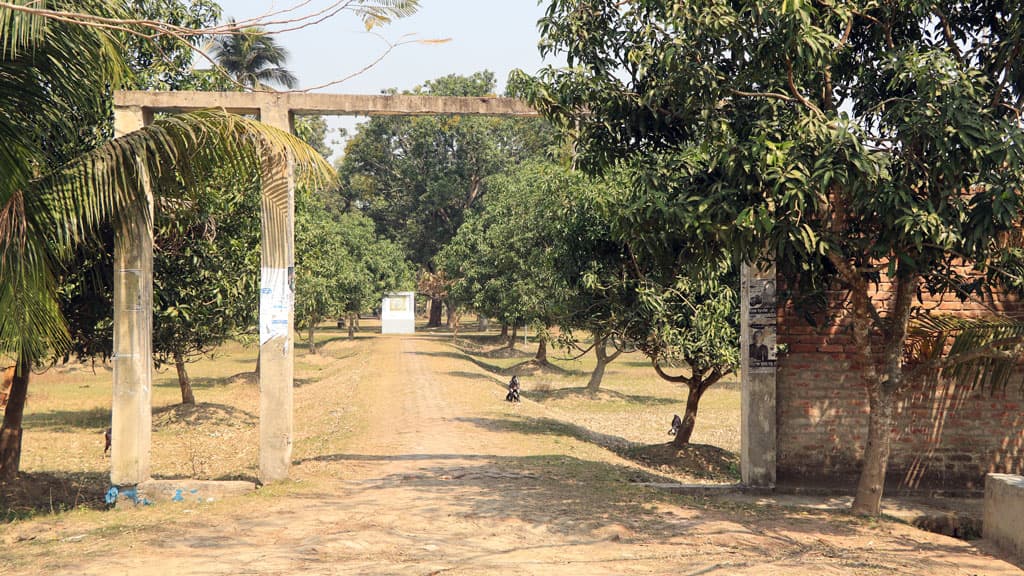 অযত্ন অবহেলায় ইকোপার্ক দিনেও চলে গাছ কাটা