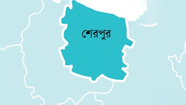 গারো পাহাড়ে মিলল বন্য হাতির মৃতদেহ