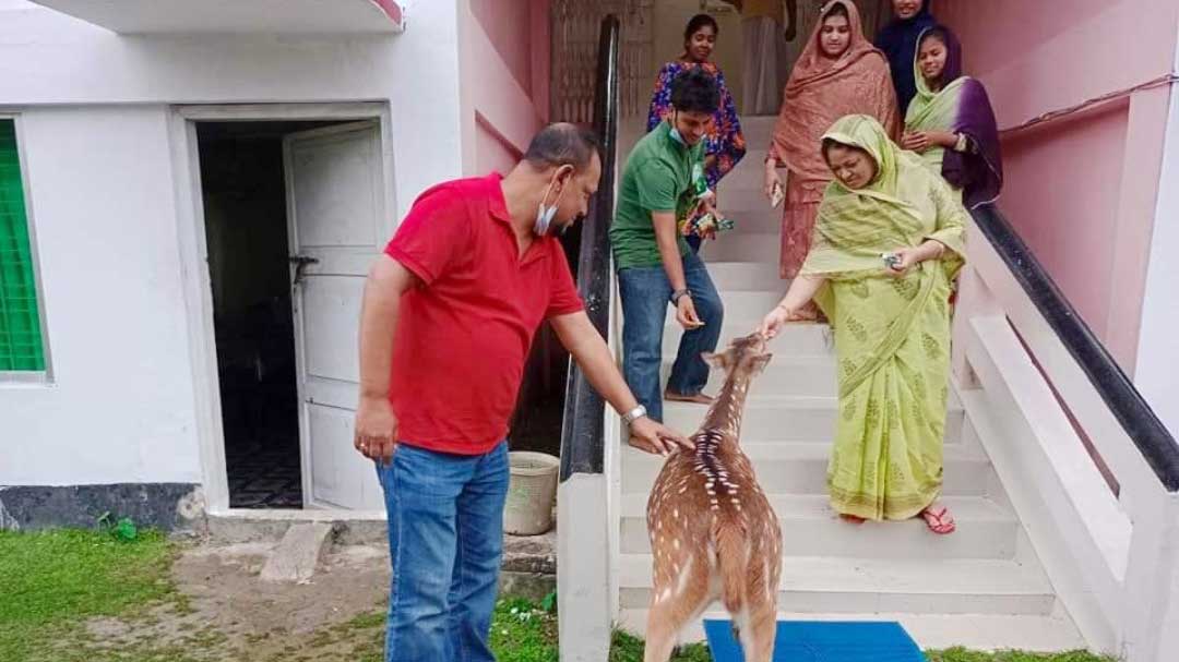 সাংসদের সঙ্গে দেখা করতে এসেছিল বনের হরিণ 