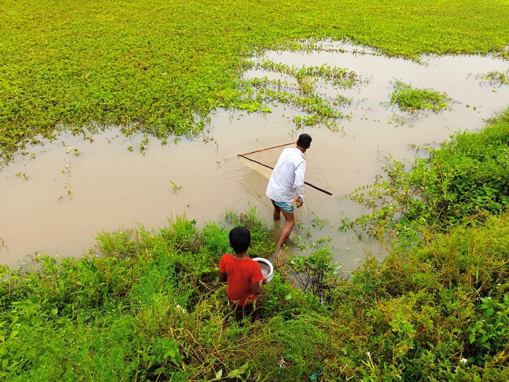 দিনের ছবি (২৮ মে, ২০২৪)