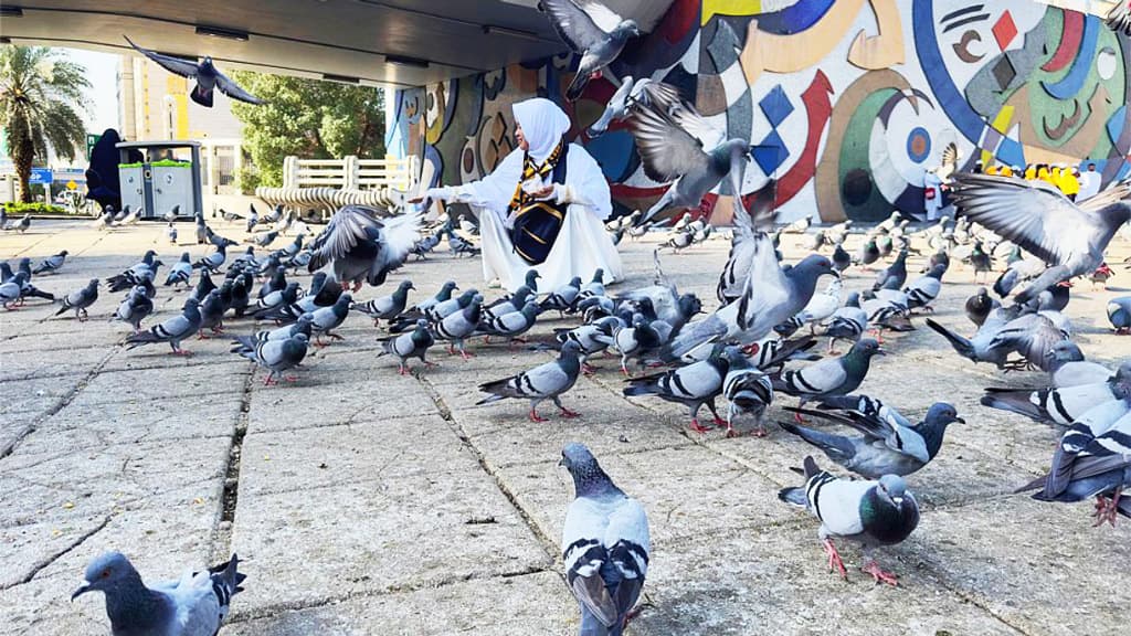 মক্কায় হাজিদের স্বাগত জানায় একঝাঁক শান্তির পায়রা