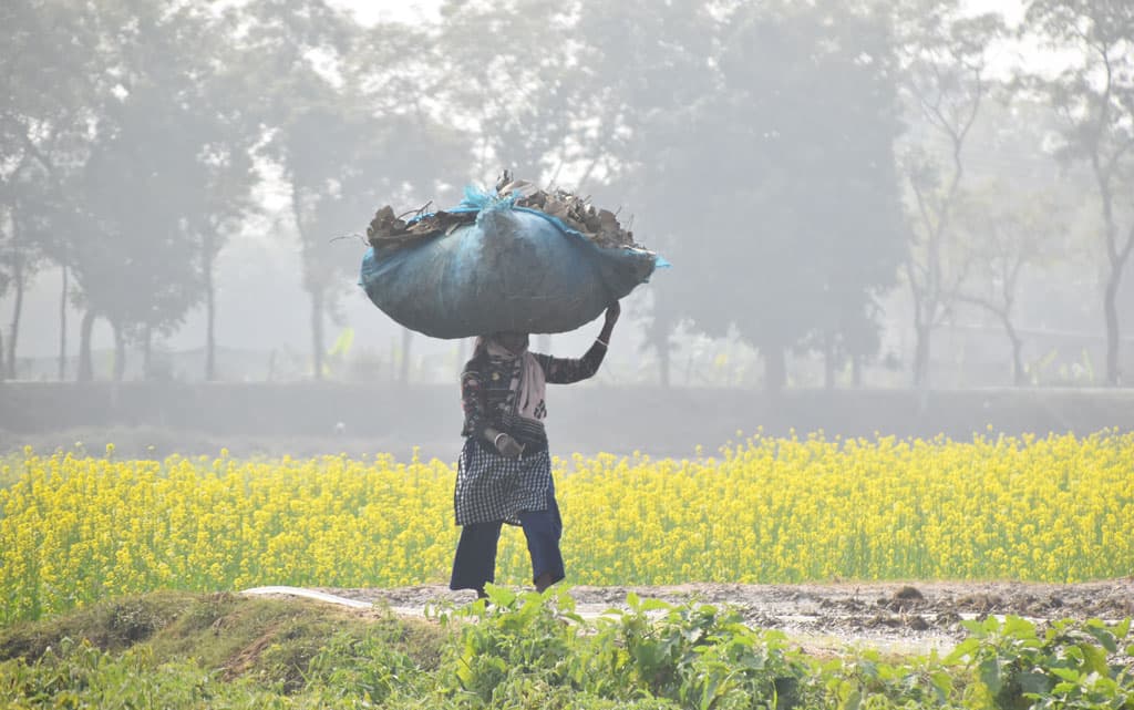 দিনের ছবি (১৪ জানুয়ারি, ২০২৪)