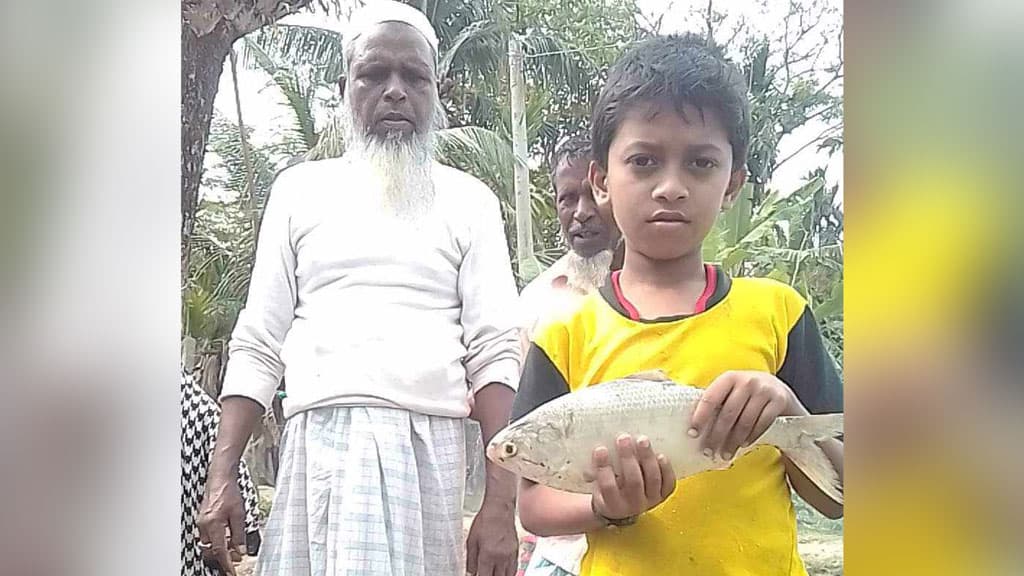 শরণখোলায় পুকুরে মিলল ১ কেজি ওজনের ইলিশ