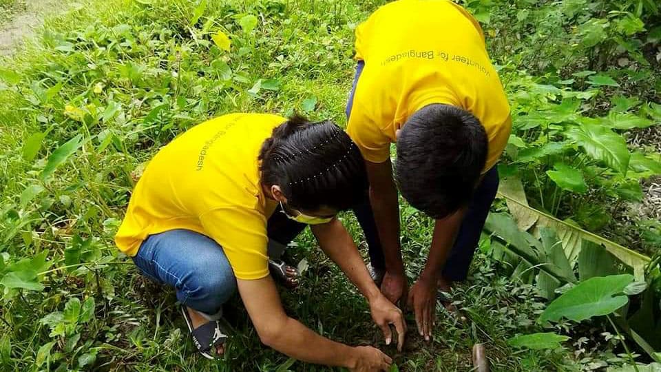 বজ্রপাত থেকে বাঁচতে তালগাছের চারা রোপণ