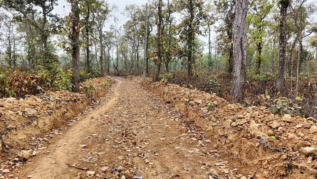 শালবন উজাড় করে রাস্তা নির্মাণ, এলজিইডির একক সিদ্ধান্ত নিয়ে প্রশ্ন