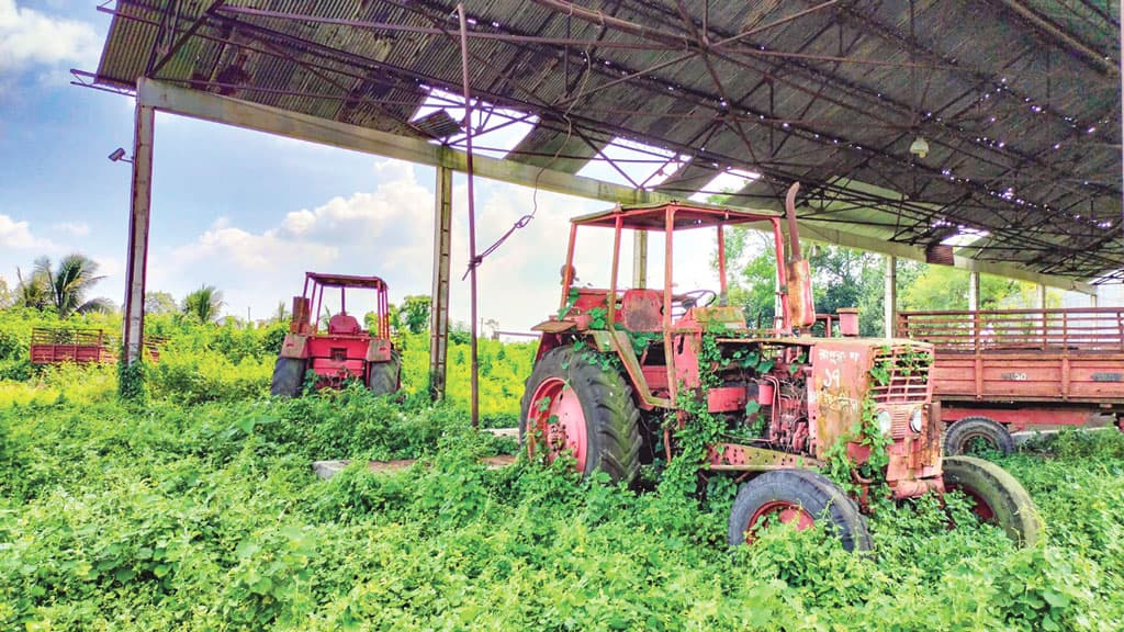 বন্ধ শ্যামপুর সুগার মিল, বাঁধাগ্রস্ত হাজারো কৃষকের স্বপ্ন