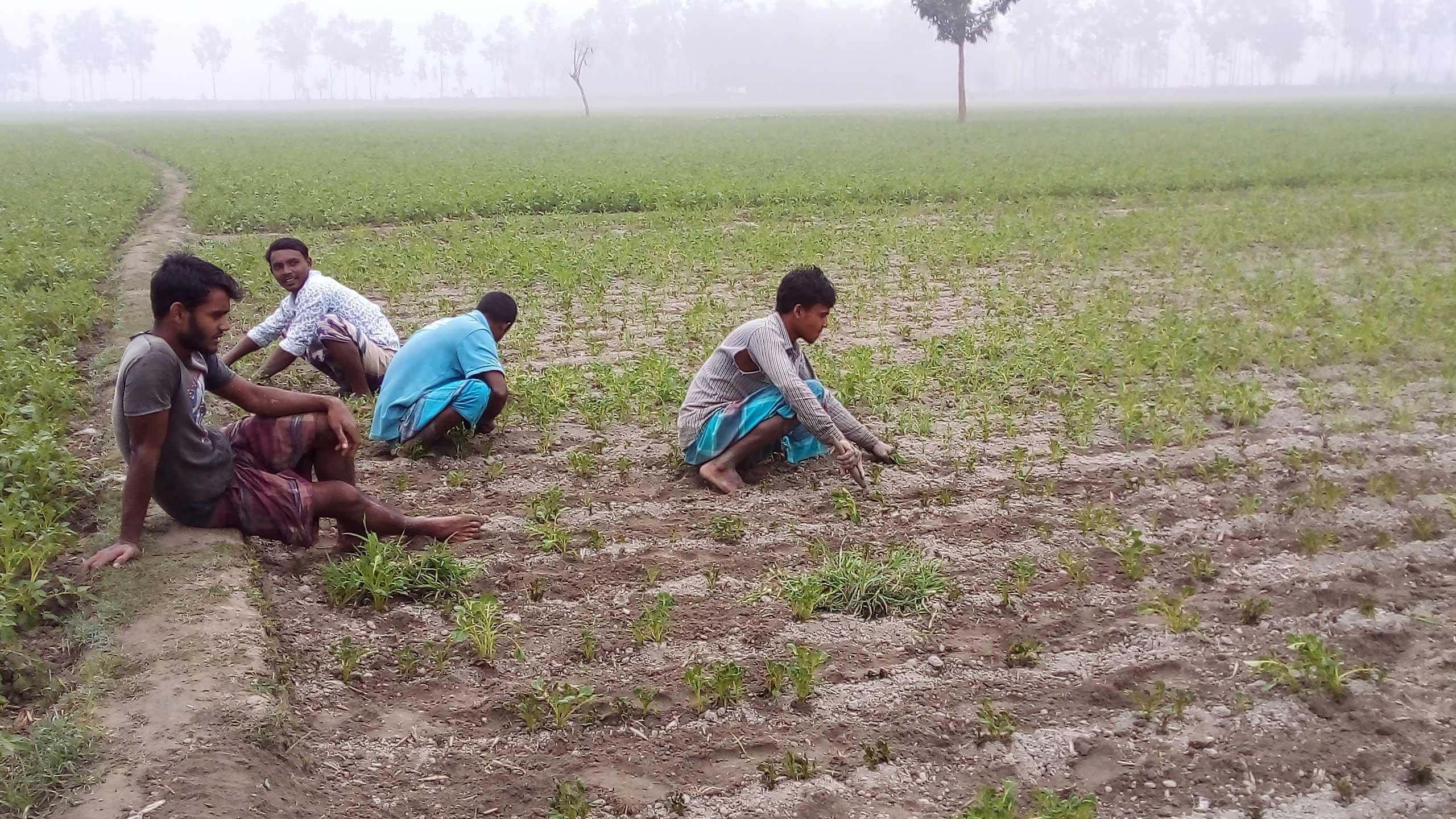 শীতবস্ত্র দেরীতে কেন