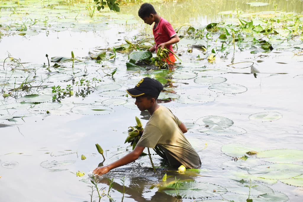 দিনের ছবি (১৯ সেপ্টেম্বর, ২০২৪)