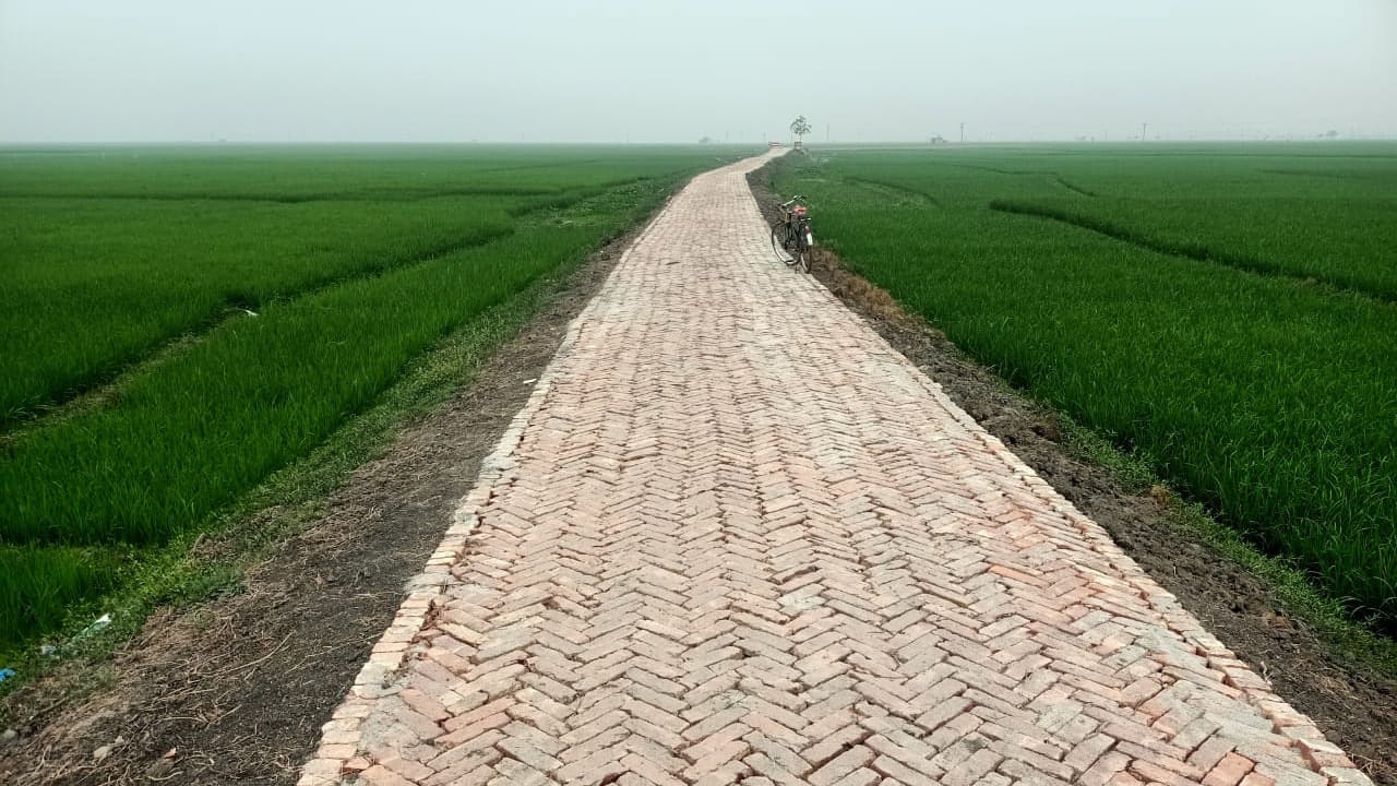 ভোলাহাটে একটি রাস্তায় হাজারো কৃষকের মুখে হাসি