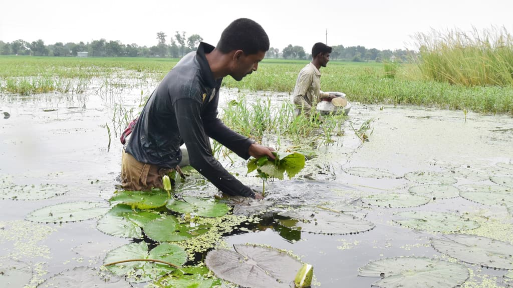 দিনের ছবি (৩১ আগস্ট, ২০২৩)