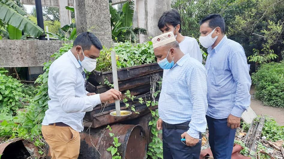 রাজধানীর ৪ শতাংশ বাড়িতে এডিস মশা, গ্রামেও ভয়াবহ পরিস্থিতির শঙ্কা: জরিপ