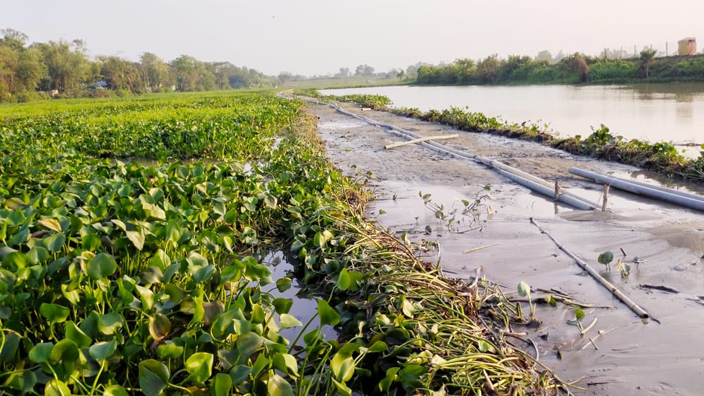 নদীতে বাঁধ দিয়ে ঘের