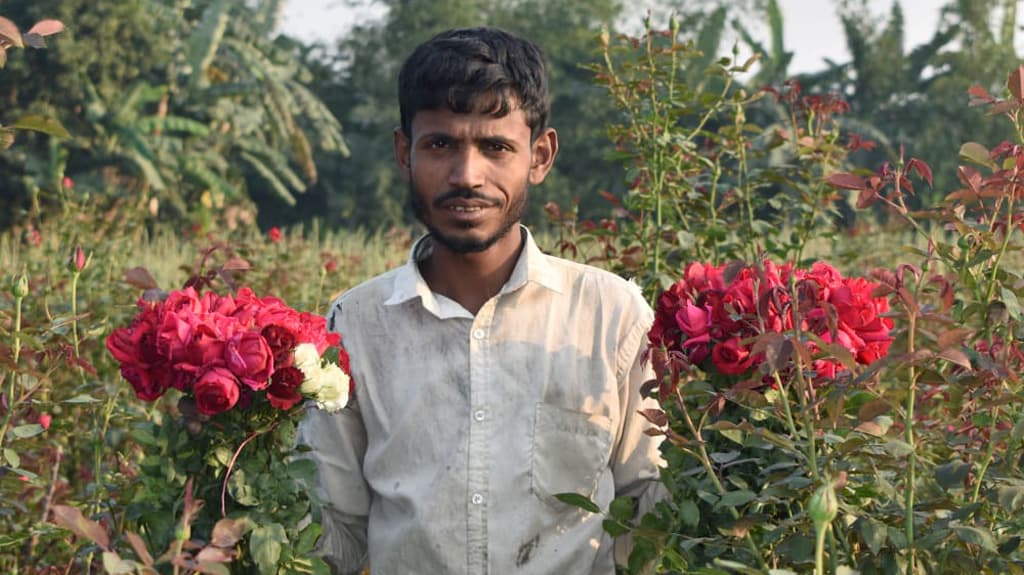 হাসি ফুটেছে ফুলচাষিদের