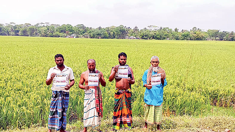 রূপসায় ধানে ব্লাস্টের আক্রমণ  রোগ দমনে নানা কর্মসূচি