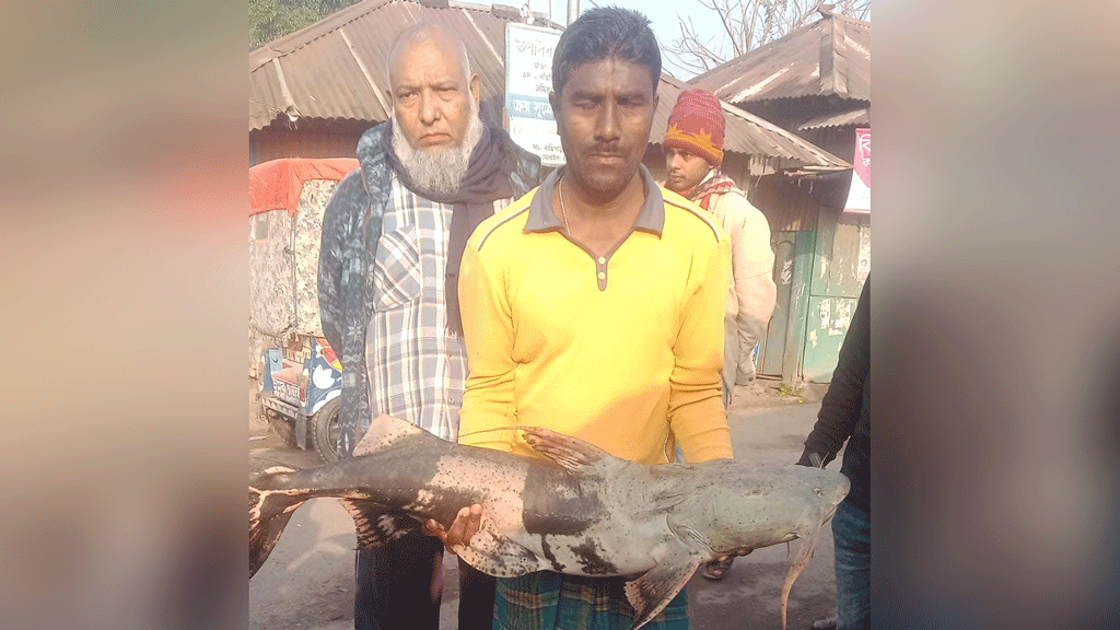 বাউফলে নদীতে পাওয়া গেছে ১৭ কেজির বাগাড়