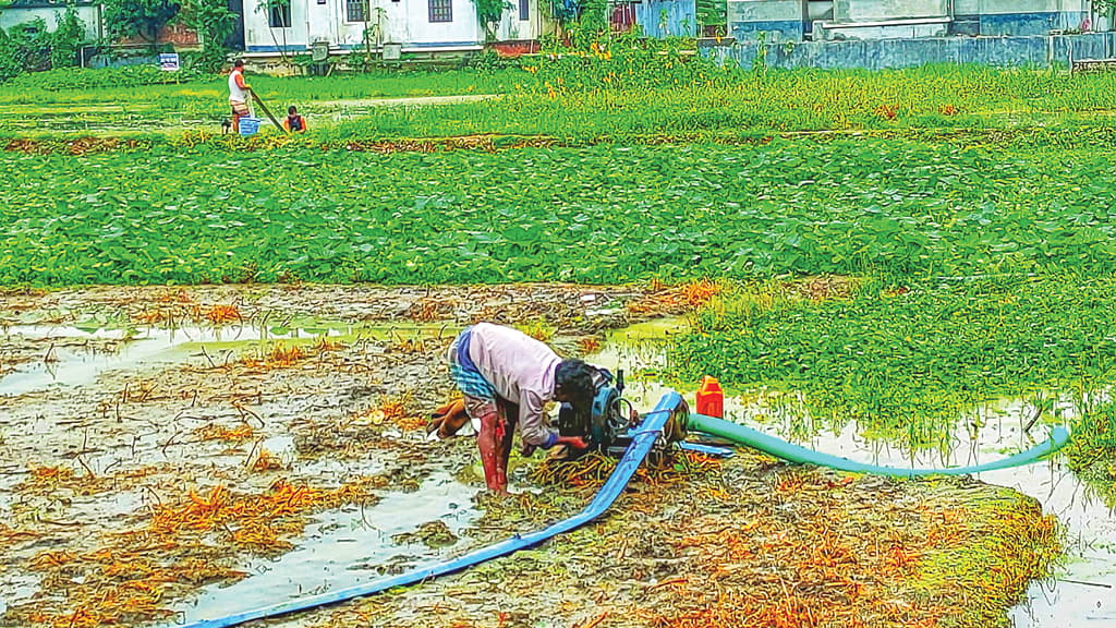 লাভের আশা শেষ চালান নিয়ে দুশ্চিন্তা