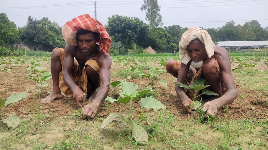 দিনের ছবি (১২ সেপ্টেম্বর, ২০২৩)