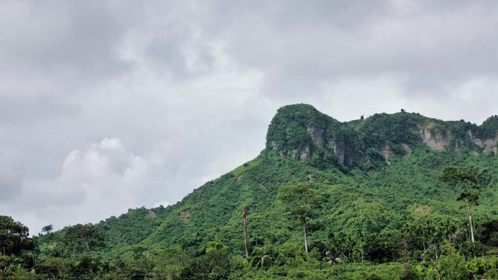 টেকনাফের পাহাড় থেকে অপহৃত ১০ জন উদ্ধার 