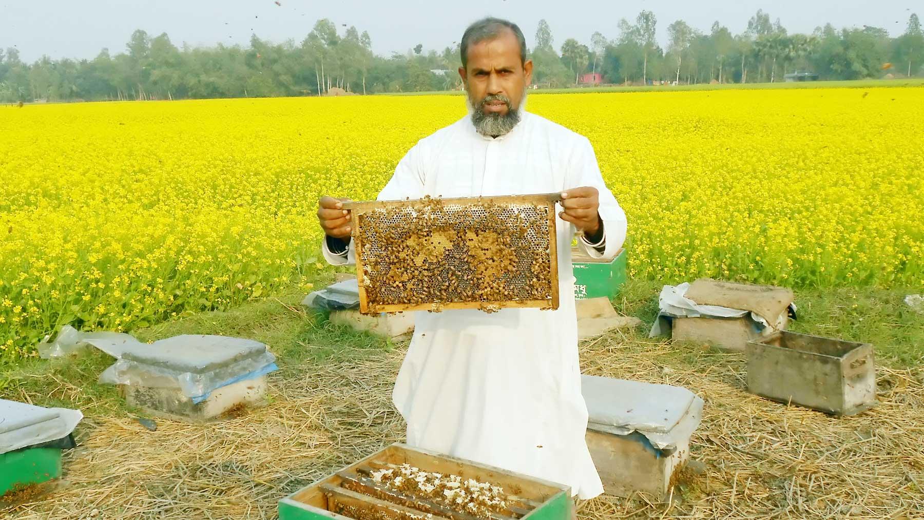 ফুলতলায় মধু চাষে বাজিমাত কালামের