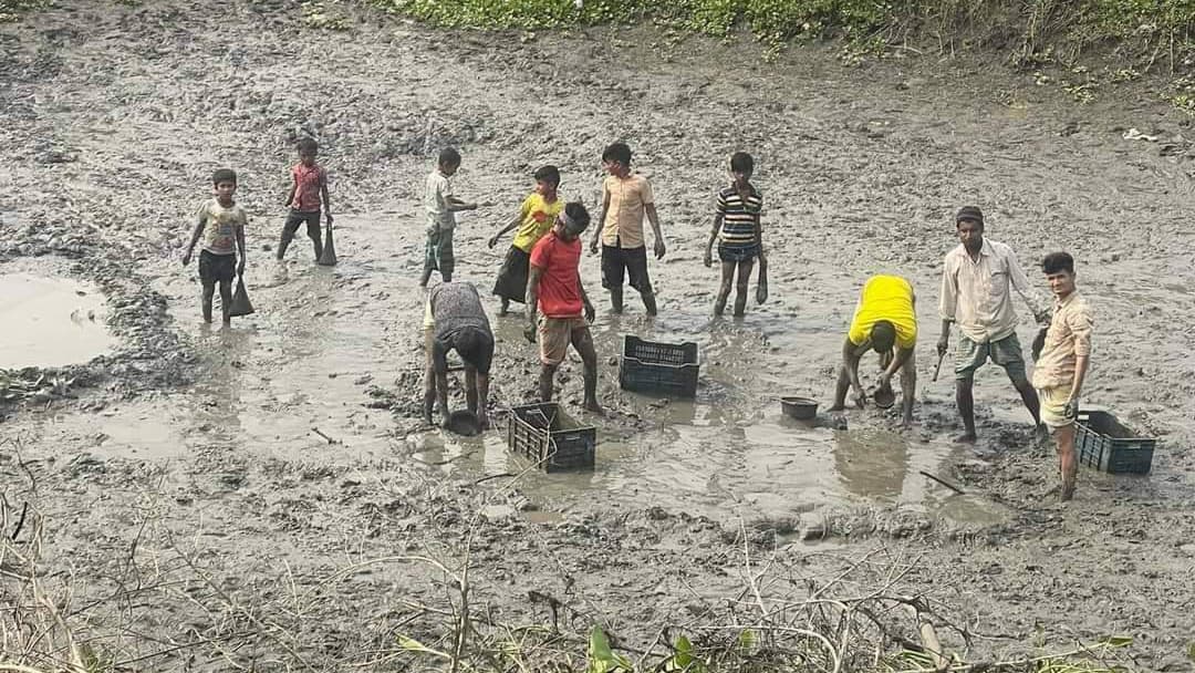 হারিয়ে যাচ্ছে গ্রাম-বাংলার মাছ ধরার উৎসব