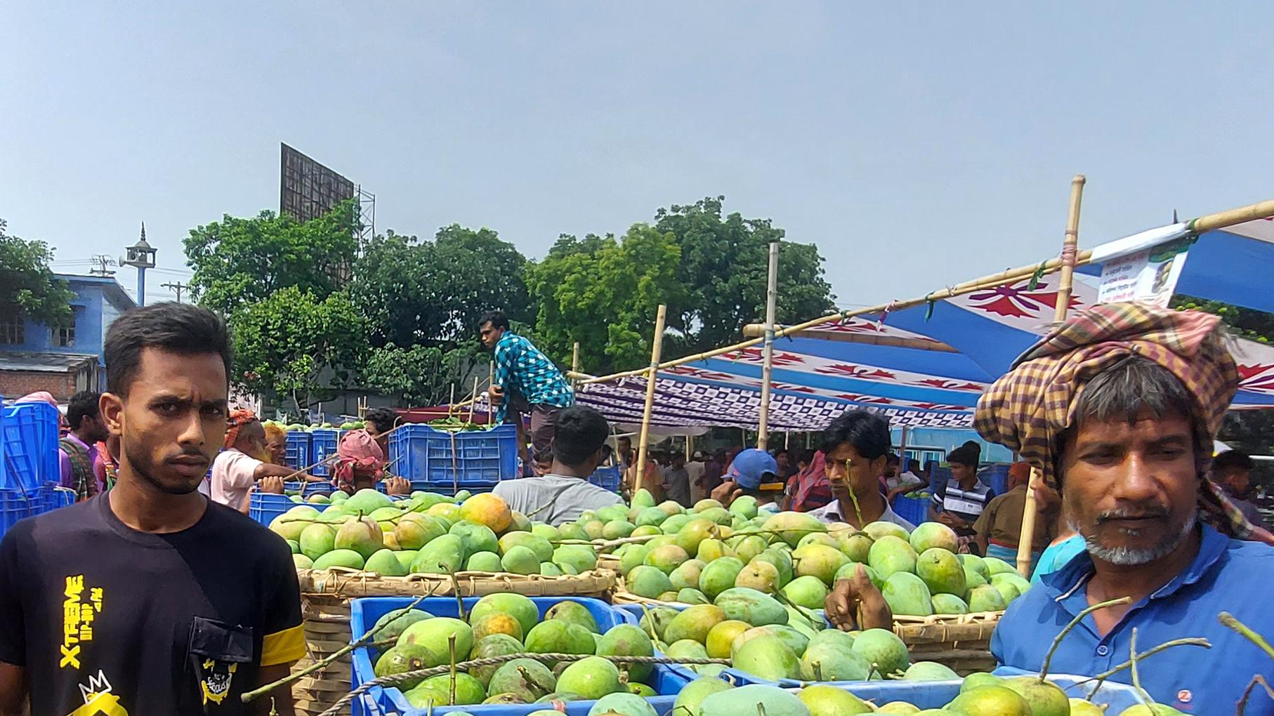 রাজশাহীর বৃহত্তম মোকামে ঢলন আর শোলাপ্রথায় জিম্মি আমচাষি