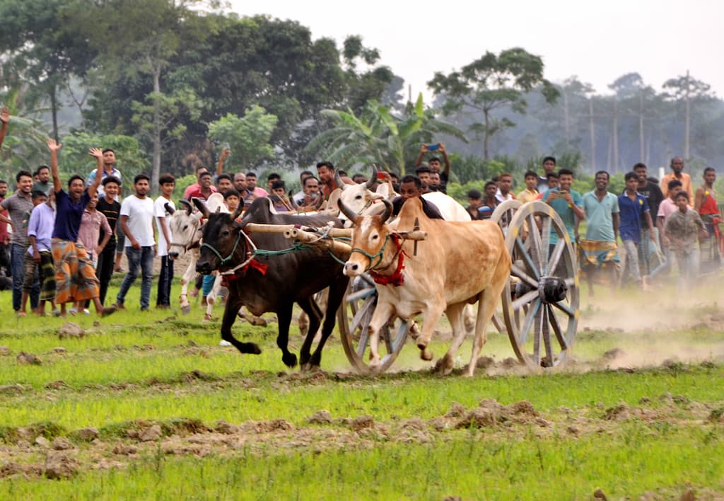 দিনের ছবি (১১ জুন, ২০২৩)