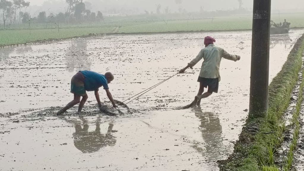 দিনের ছবি (১৭ ফেব্রুয়ারি, ২০২৪)