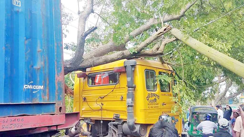 গাছ পড়ল ট্রাকে, সড়কে জট