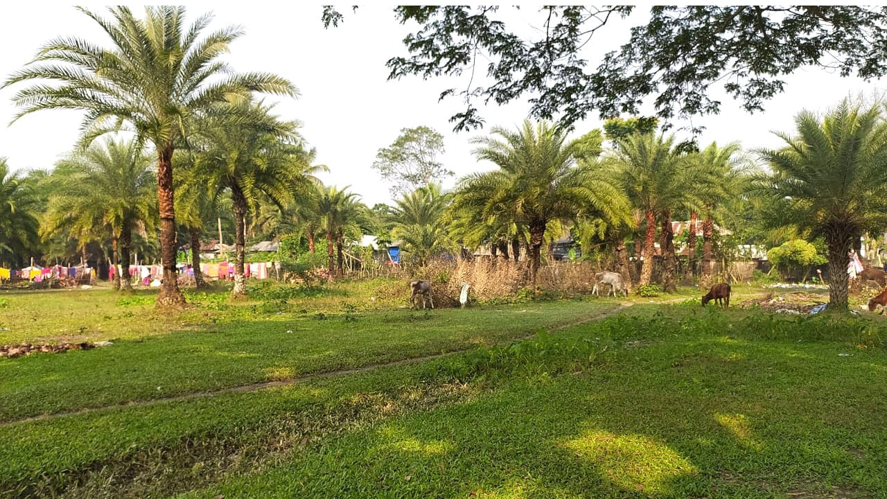 স্মৃতিচিহ্ন হারিয়ে যাচ্ছে