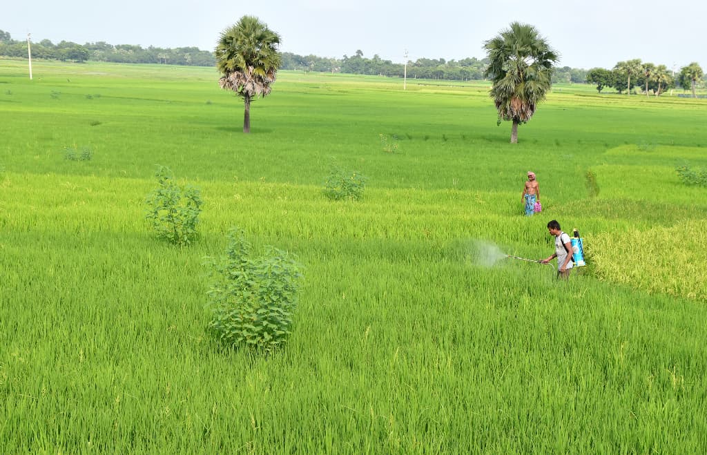 দিনের ছবি (২০ সেপ্টেম্বর, ২০২৩)