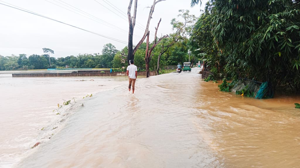 মৌলভীবাজারে ৩ লাখ মানুষ পানিবন্দী, ১৪ বাঁধে ভাঙন 