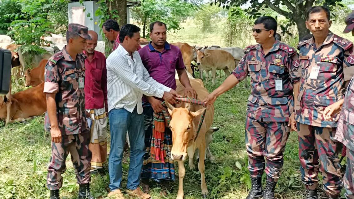 ভারতে ঘাস খেতে যাওয়া ৫৮ গরু ফিরিয়ে মালিকদের দিল বিজিবি