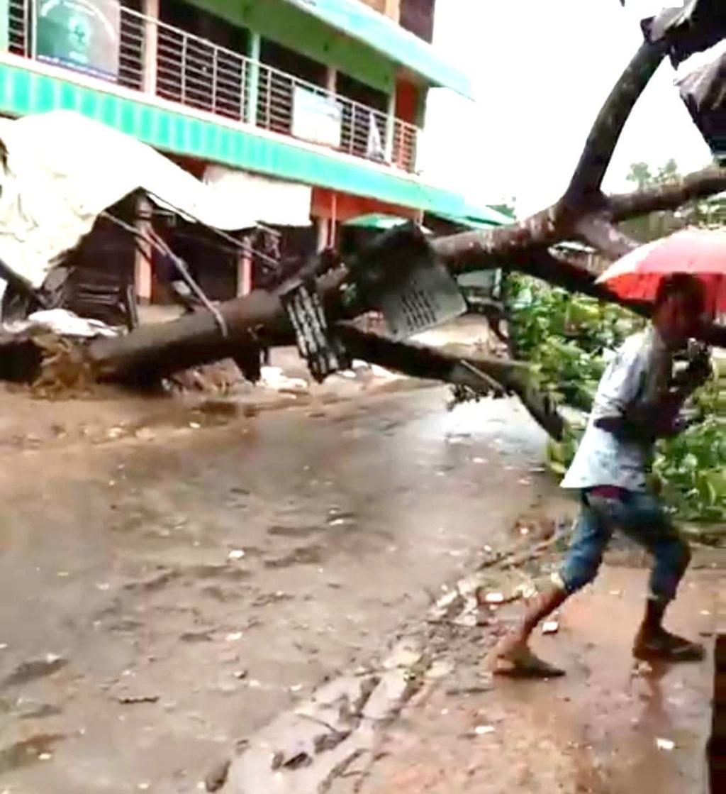 নাইক্ষ্যংছড়িতে ঘূর্ণিঝড় মোখায় ক্ষতিগ্রস্ত ফসলের খেত