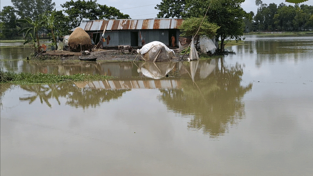 নামছে পানি, বাড়ছে সংকট