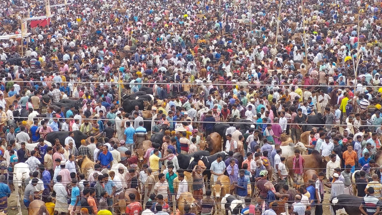 কোরবানির পশুর হাটে দর কষাকষি বেশি, বিক্রি কম