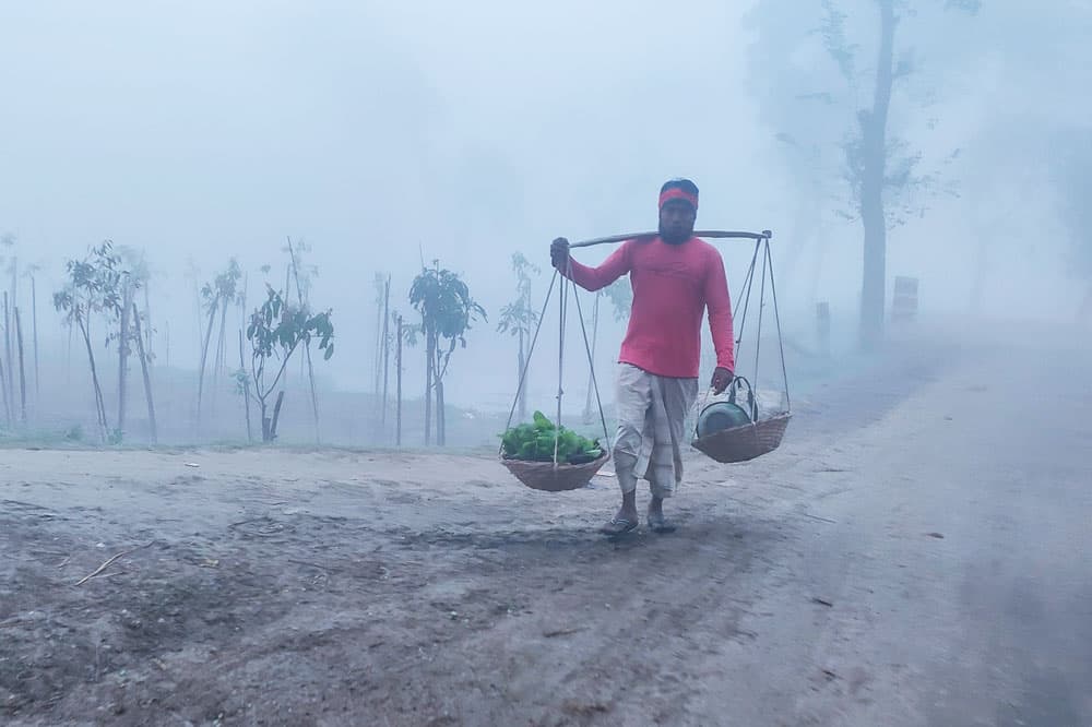 দিনের ছবি (১০ ডিসেম্বর, ২০২৩)