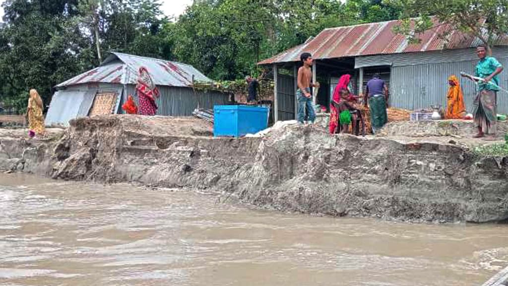 ভাঙনে তিস্তায় বিলীন ৪০ বসতঘর, আতঙ্কে নদীতীরের মানুষ