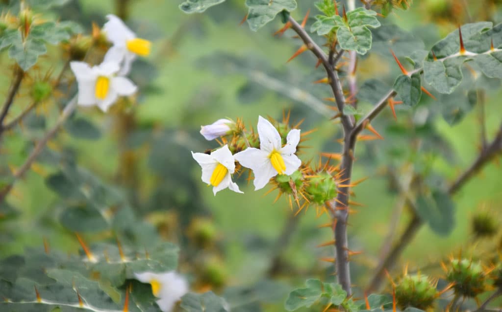 দিনের ছবি (২৪ আগস্ট, ২০২৪)