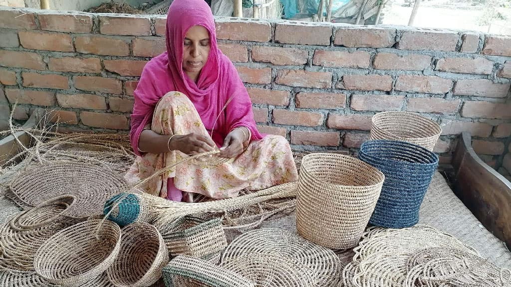 বগুড়ার তালপাতার ডাঁটার আঁশের তৈরি তৈজসপত্র যাচ্ছে বিদেশে