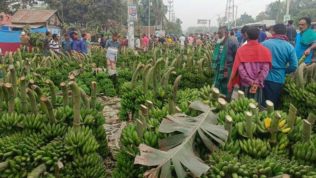 যে হাটে সপ্তাহে বেচাকেনা হয় কোটি টাকার কলা