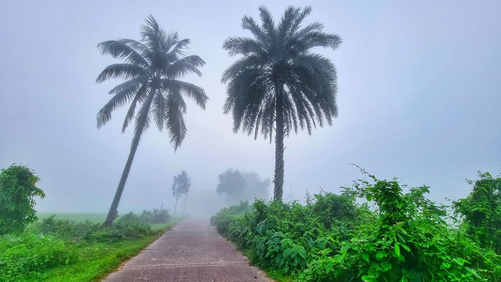 দিনের ছবি (২৪ অক্টোবর, ২০২৩)