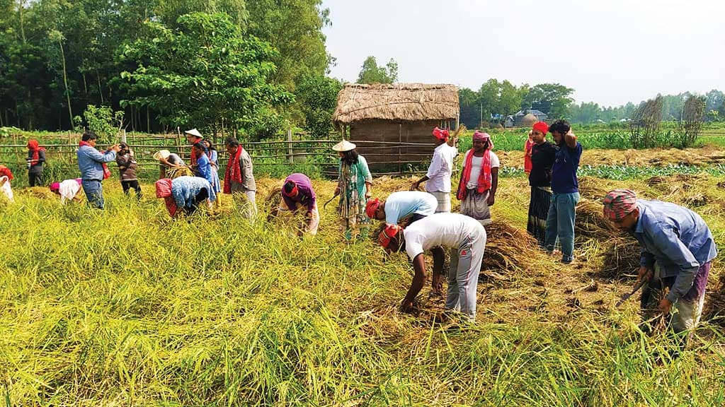 কৃষকের মুখে নবান্নের হাসি