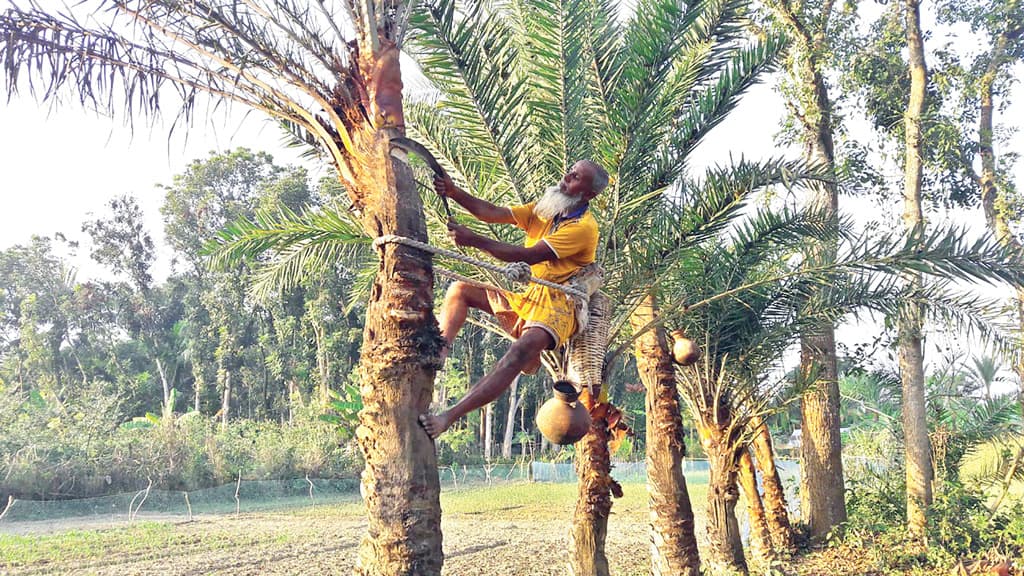 রস সংগ্রহে ৫০ বছর পার