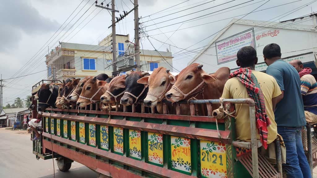 দিনের ছবি (১০ জুন, ২০২৪)