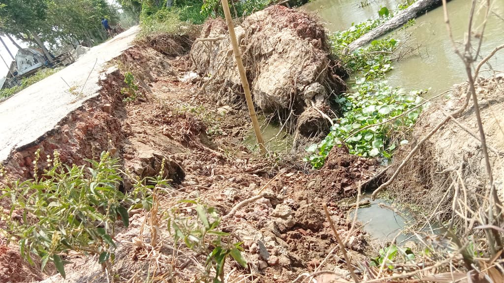 মাছের ঘেরে বিলীন সড়ক