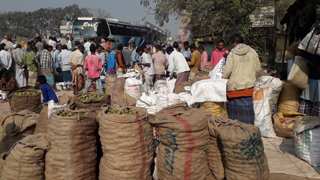 উৎপাদন ভালো, দরও বেশি