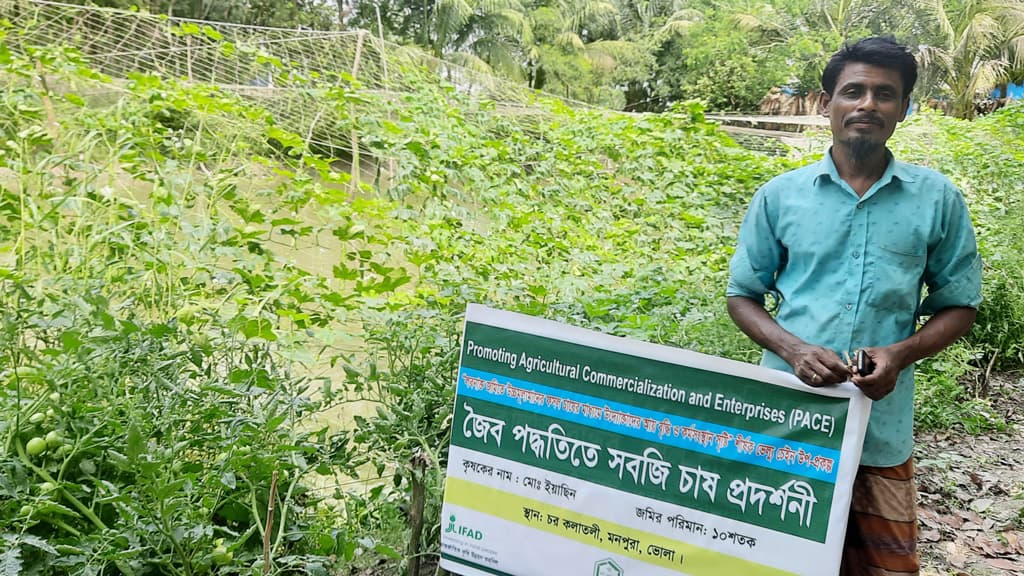 কলাতলী চরে সবজি চাষে কৃষকের মুখে হাসি